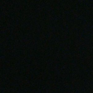 Meet your Posher, Sandy